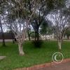 Plaza Juan Zorilla at Av. Gen. Jose Gervasio Artigas y Calle Leyenda Patria