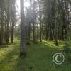Parque Rivera (6)