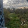 Path along Ruta 26 crossing Arroyo Conventos (or Arroy del Sauce) (2)