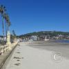 The beach