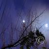 Moon and Venus