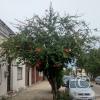 street view (3)