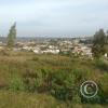 view (4)