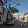 Calle Juaquin Suarez near Calle Brasil (3)
