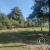 Parque Benito Solari at Av. Enrique Amorin y Av. Blandengues (10)