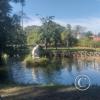 Parque Benito Solari at Av. Enrique Amorin y Av. Blandengues (12)