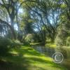 Parque Benito Solari at Av. Enrique Amorin y Av. Blandengues (13)