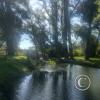 Parque Benito Solari at Av. Enrique Amorin y Av. Blandengues (19)