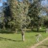 Parque Benito Solari at Av. Enrique Amorin y Av. Blandengues (23)