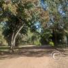 Parque Benito Solari at Av. Enrique Amorin y Av. Blandengues (3)