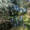 Parque Benito Solari at Av. Enrique Amorin y Av. Blandengues (5)