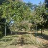 Parque Benito Solari at Av. Enrique Amorin y Av. Blandengues (8)