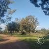 Parque Harriague at Av. Juan Harriague y Calle 33 Orientales (6)