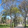 Plaza 33 Orientales