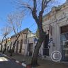 Calle 18 de Julio (2)