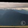 hurricane-ridge_18109524655_o