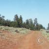colockum-pass-road5