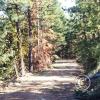 colockum-pass-road
