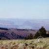 looking-east3