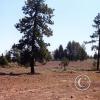 red-rock-meadow