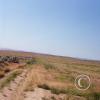 brushy-trail_18108769201_o