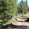colockum-pass-road4_17919924788_o