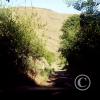 gulch-road2_18104482112_o