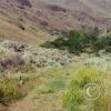 gulch-road_17920223950_o