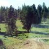 meadow2_18109073261_o