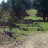 meadow3_18081578956_o