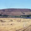 westbar-deer_18109148761_o