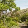 brewton-gulch-rd-4_17920264508_o