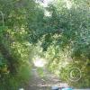 brewton-gulch-rd-6_18104742532_o