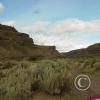 tekison-creek-rd_17920411168_o