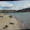 west-bar----beach-looking-north-at-crescent-bar_17922119229_o