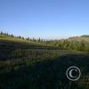 pic00014