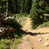 pic00027