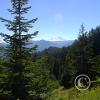 pic00038