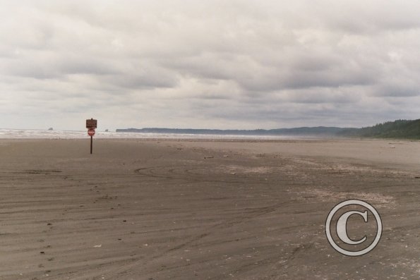 beach at kalaloch looking north 2