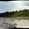 ruby beach looking inland
