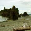 ruby beach looking north