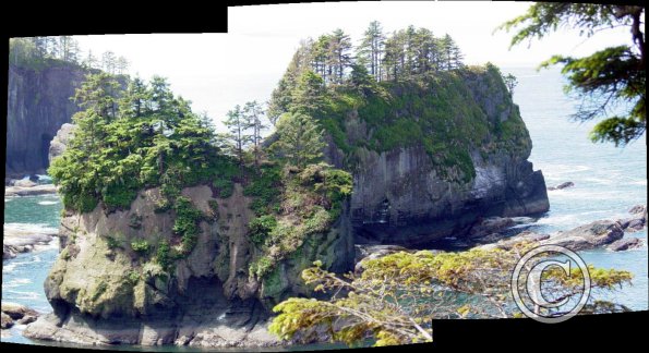cape flattery south 3