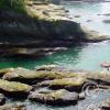 cape flattery south 4