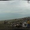 dungeness spit 1