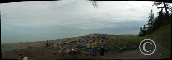 dungeness spit 1