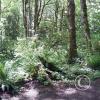 lena creek campground 2