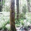 lena creek campground 3
