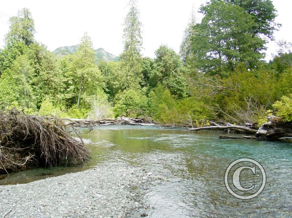 lena creek campground hamma hamma river 2