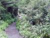 cape alava trail 3