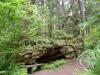 cape alava trail 4